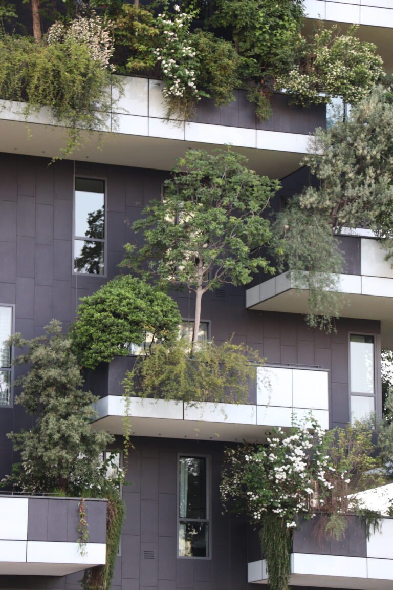 Milano photo 357