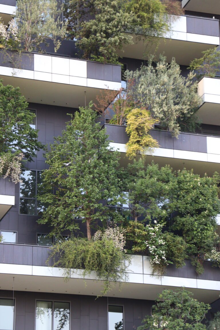 Milano photo 356