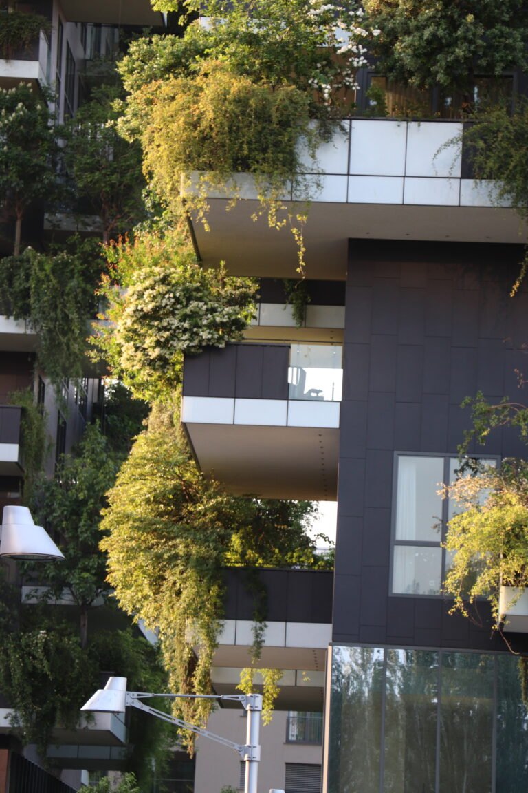 Milano photo 354