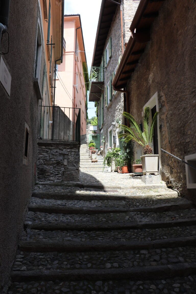 Milano photo 272