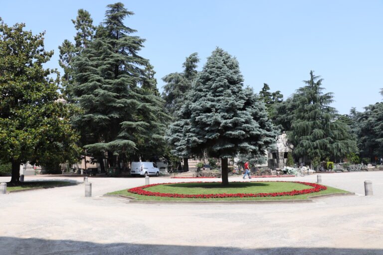 Milano photo 196