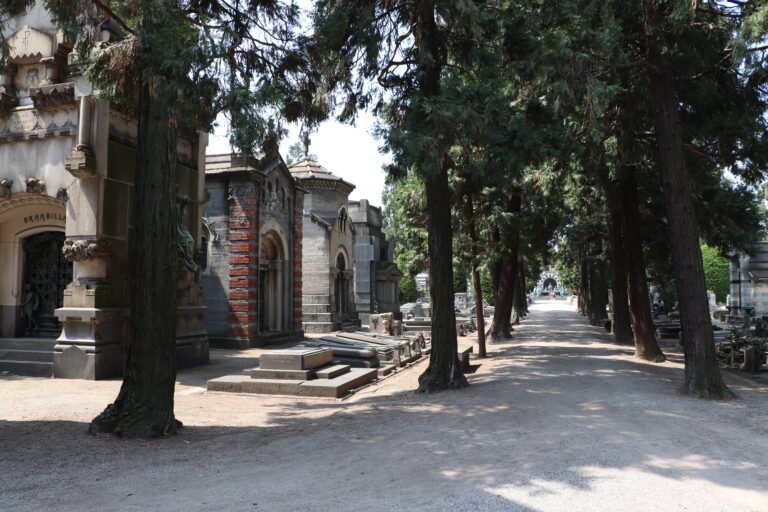 Milano photo 178