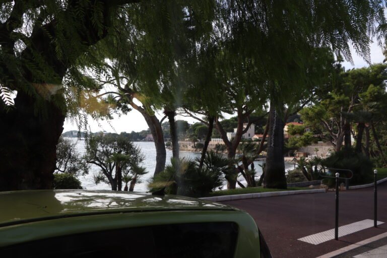 Monaco photo 53