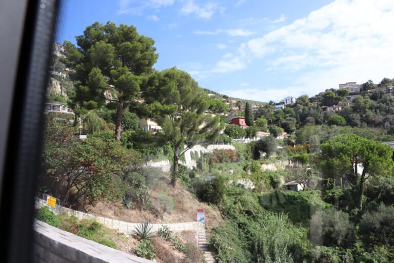 Monaco photo 43