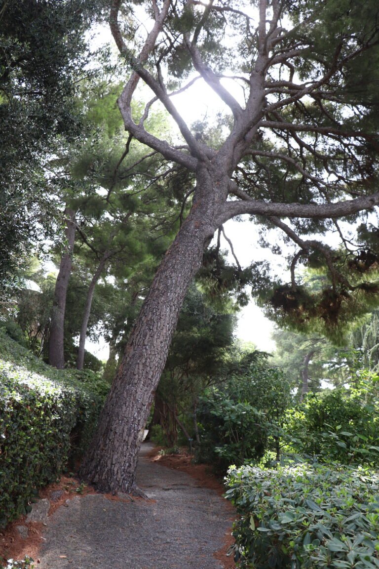 Villa photo 27