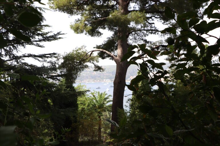 Villa photo 26