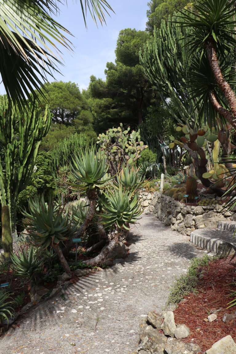 Villa photo 18