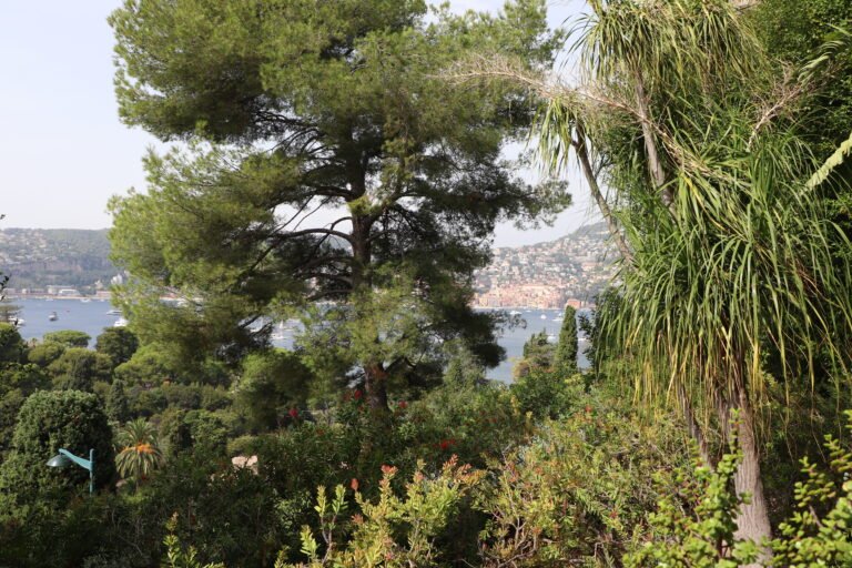 Villa photo 15