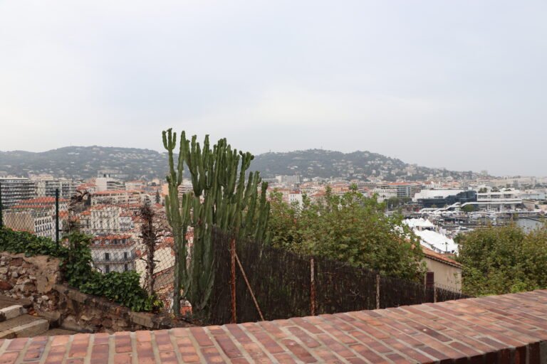 Cannes photo 60
