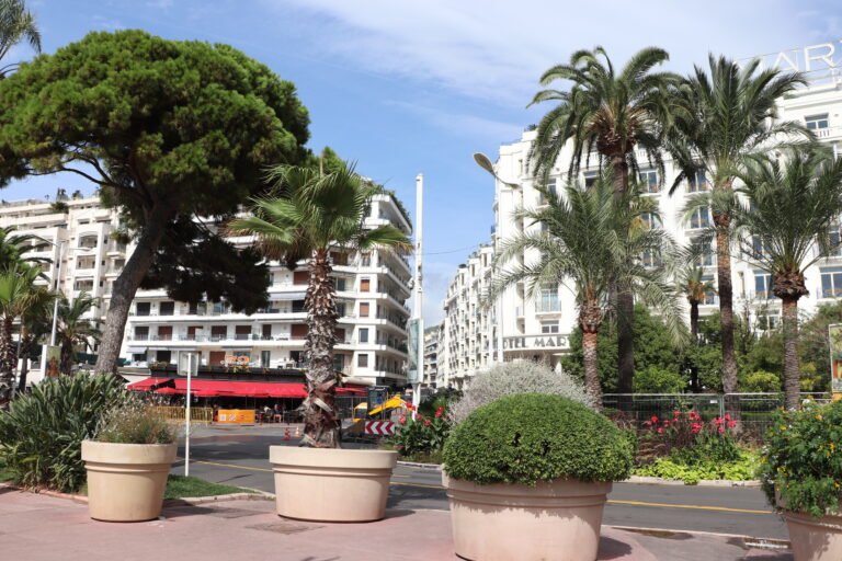Cannes photo 28