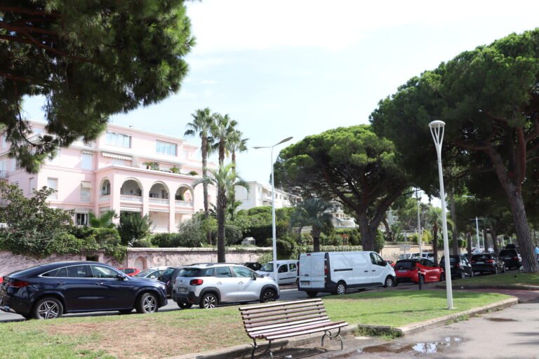 Cannes photo 13