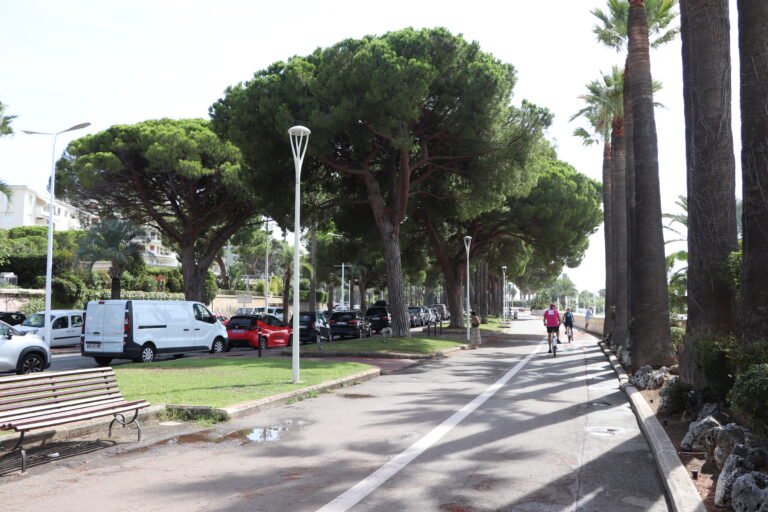 Cannes photo 12