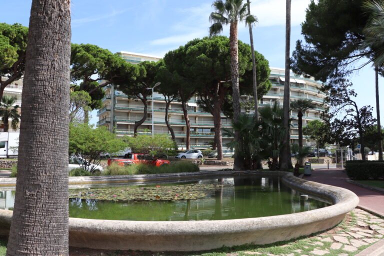 Cannes photo 11