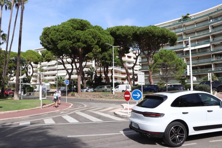 Cannes photo 9