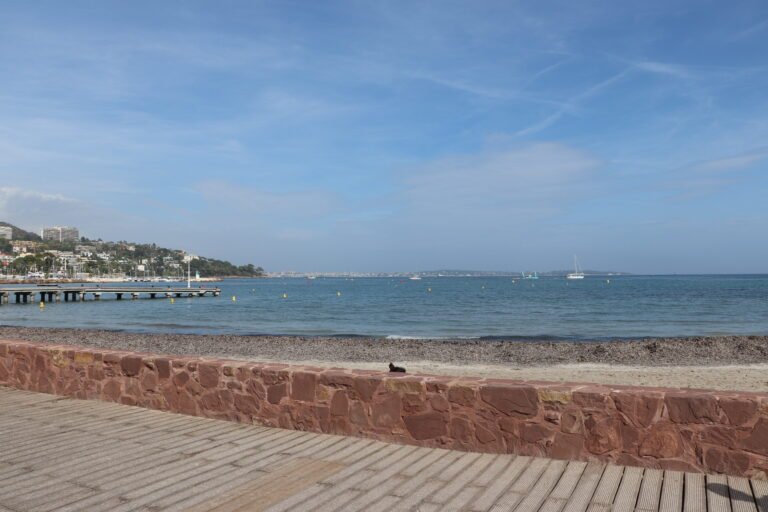 Cannes photo 2