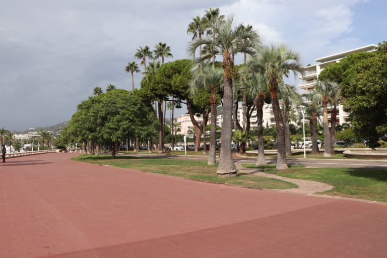 Cannes photo 104