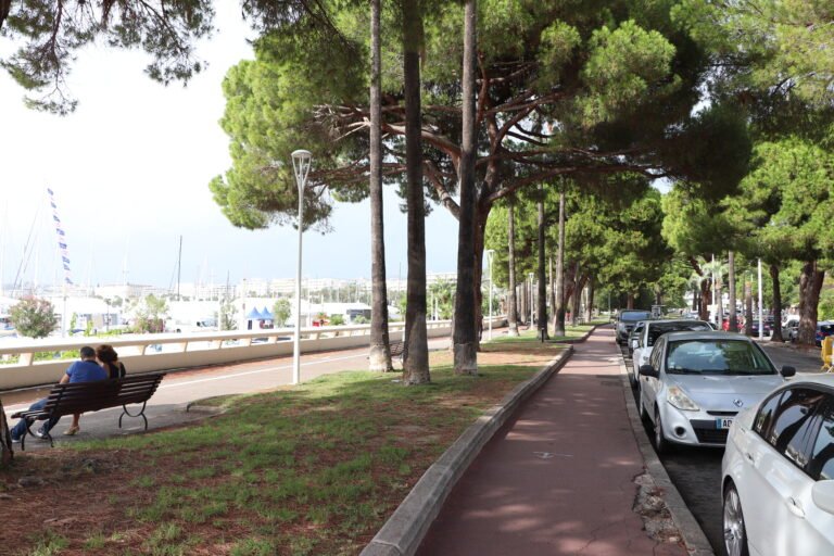 Cannes photo 103