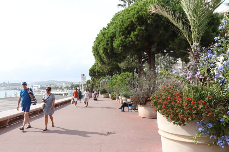 Cannes photo 96
