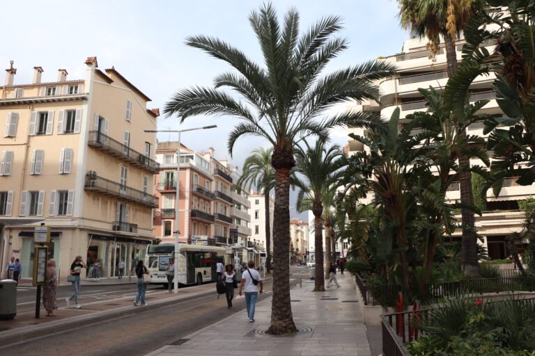 Cannes photo 84
