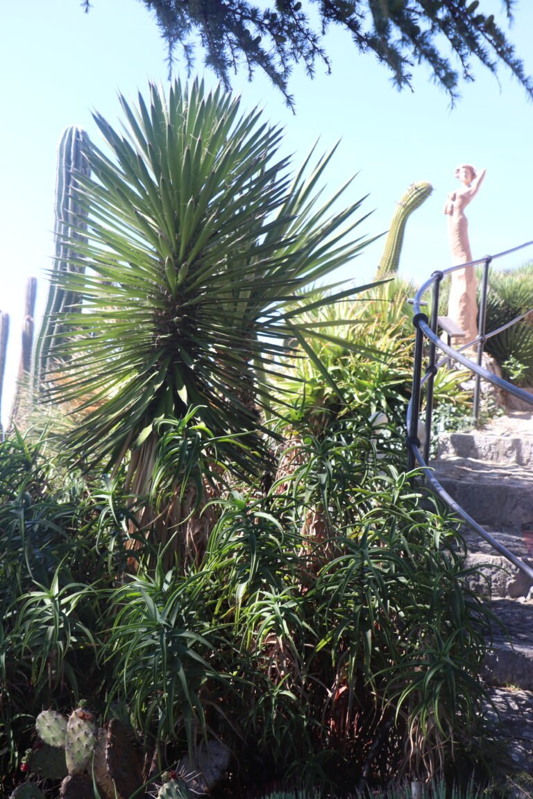 Èze photo 13