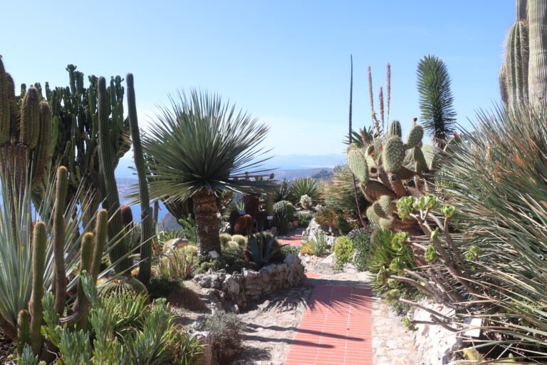 Èze photo 11